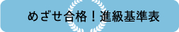 進級テスト・進級基準