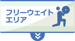 フリーウェイトエリアへ